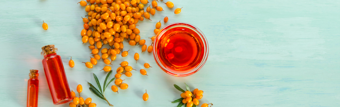 7-zdravotnich-benefitu-uzivani-rakytniku