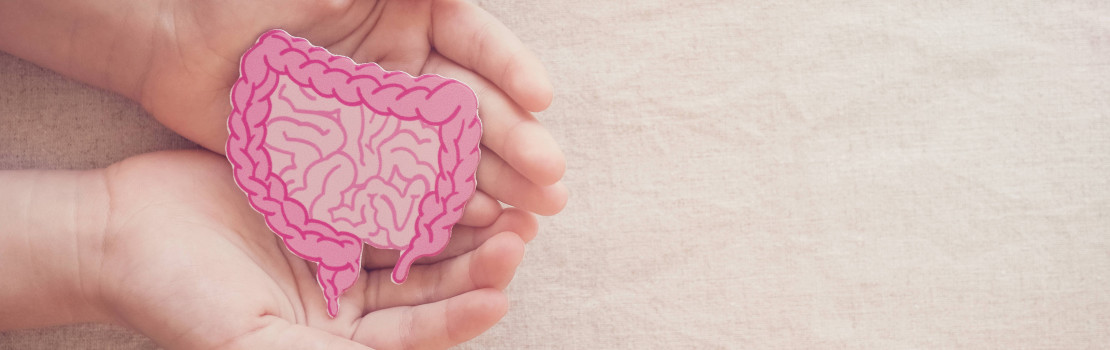 streva-a-jejich-role-v-imunitnim-systemu